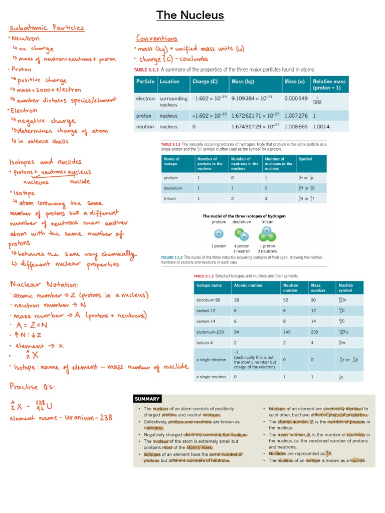 the nucleus notes | PDF