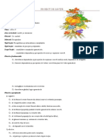 Proiect Didactic Română Clasa A IV-a