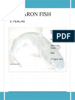 Stevaron Fish Farm: Plot A, Tudun Wada