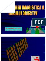 DIGESTIV