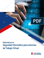 NUEVO Brochure Diplo Seg Inform