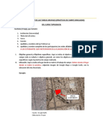 Estructura Del PPT y Planos para Tareas Grupales