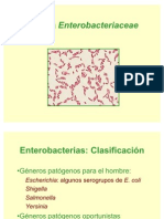 TEMA 21. DIAPOSITIVAS. Enterobacterias