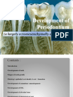 Development of Periodontium