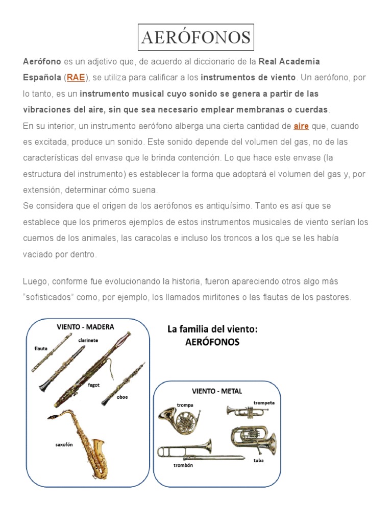 AERÓFONOS PDF Instrumentos musicales Instrumentos de cuerda