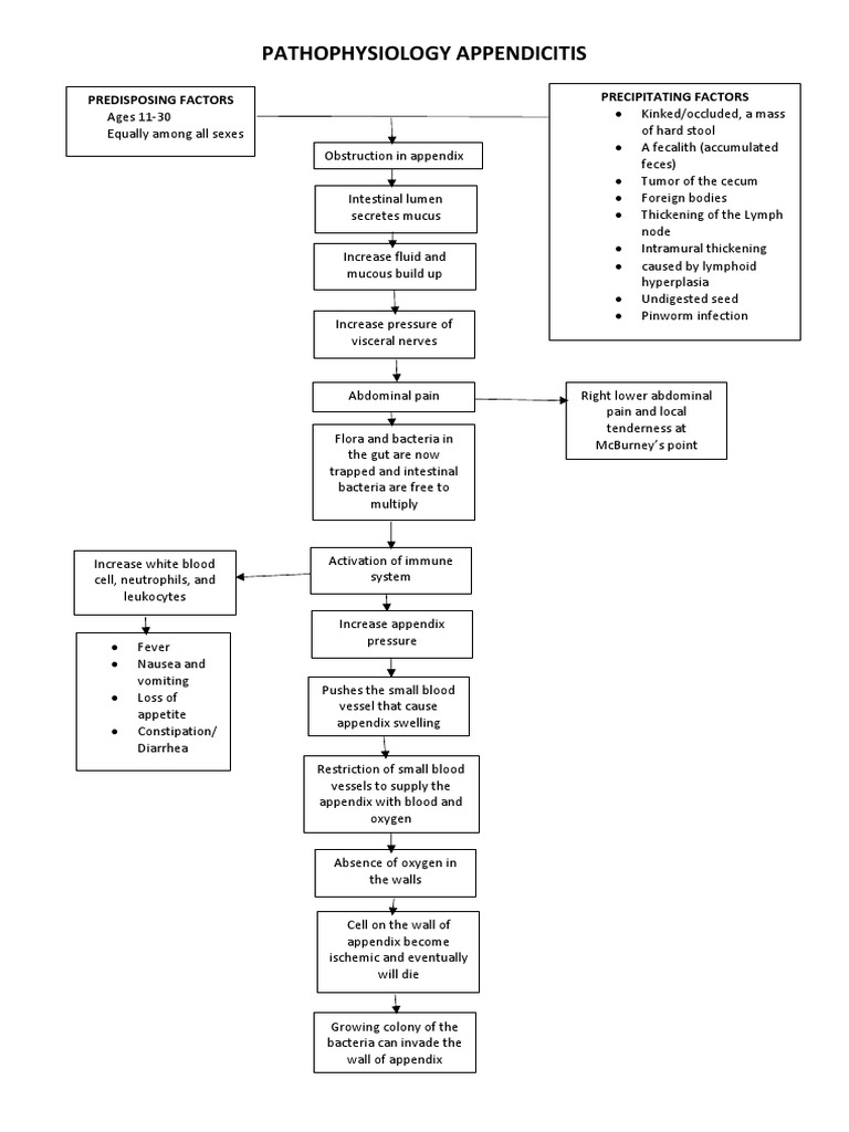 Understanding Appendicitis Pathophysiology | PDF | Gastroenterology ...