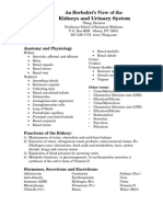 Kidneys and Urinary System