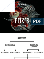 Zoologia (8) - Peixes