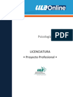 2 PSY300 Proyecto Profesional