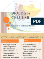 Biologia Celular Sistema de Endomembranas