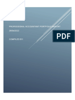 Professional Accountant Portfolio