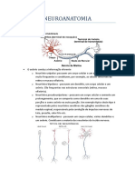 Neuroanatomia 1 - Raisa