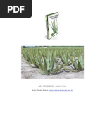 Download Aloe Vera Babosa by ClaudioRj SN58110455 doc pdf