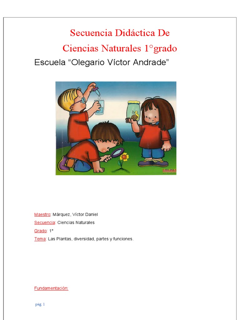 Proyecto Didáctico: Las Plantas en 1° Grado | PDF | Tallo de la planta ...