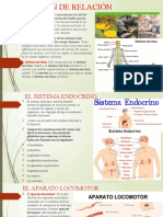 Función de Relación - Pptxoctavo