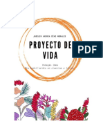 Proyecto de Vida PDF