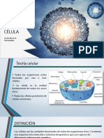 Tema 3.1 Origen Composicion y Funcionamiento de La Celula