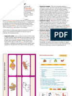 Ciencia Ficha 11