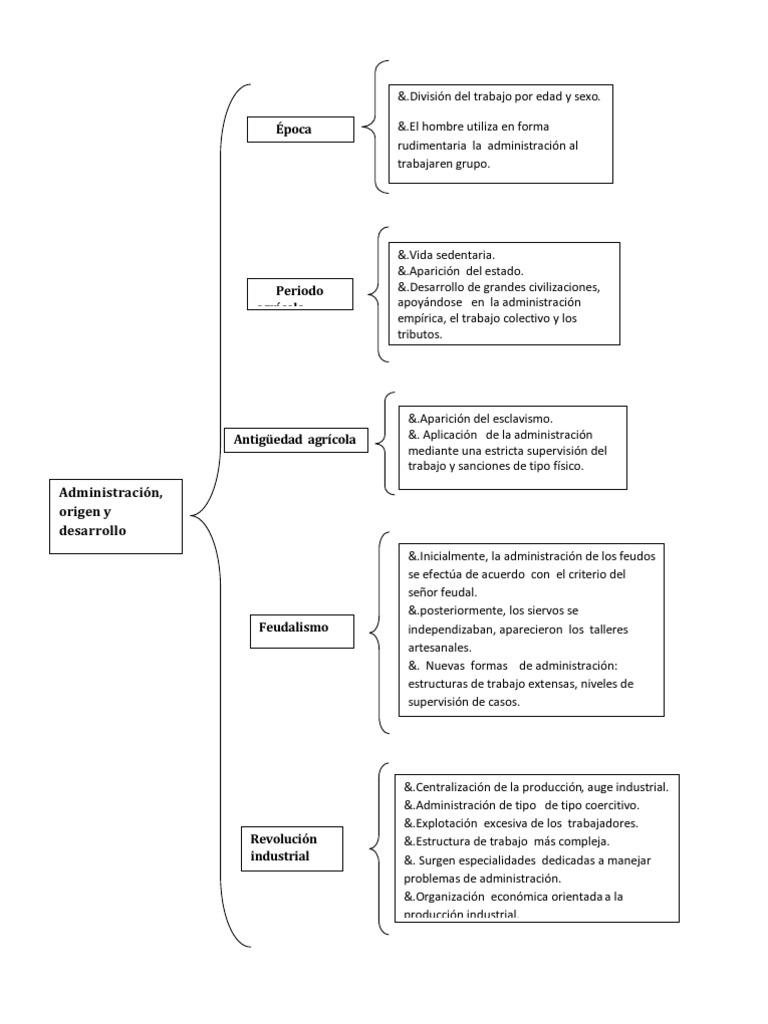 ORGANIZADOR GRAFICO
