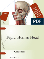 Topic Human Head