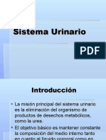 Sistema Urinario