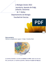 C Psula Ruta Secretoria Con Sonido