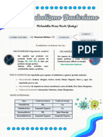 Metabolismo Bacteriano