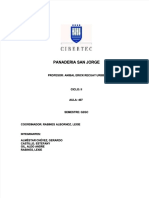 PDF San Jorge Adm II Compress