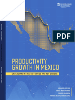 Productivity Growth in Mexico (World Bank)