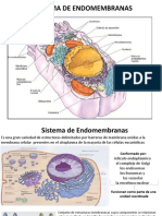 CLASE 6 Reticulo Endoplasmatico MEDICINA 2021 FINAL