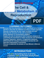 Cell Structure & Functions