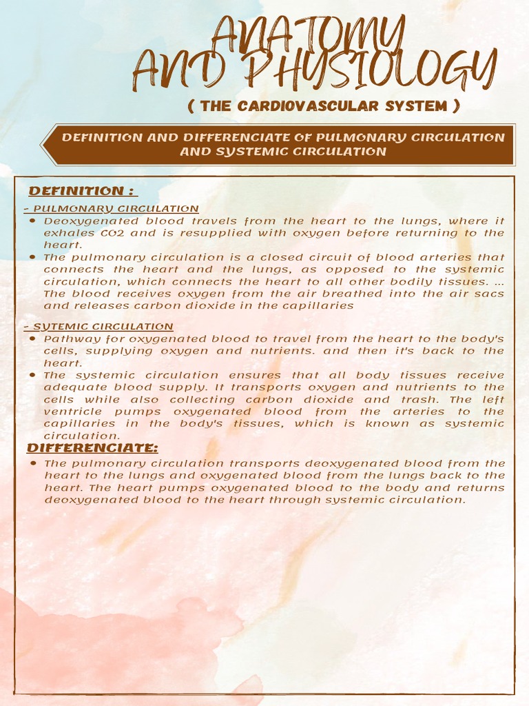 Cardiovascular System | PDF | Science & Mathematics