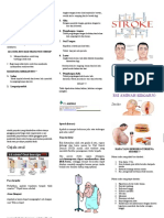 Leaflet Stroke Rsi