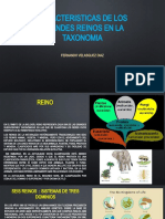 Caracteristicas de Los Grandes Reinos en La Taxonomia PPT 2020