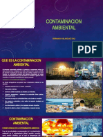 Contaminacion Ambiental PPT 2020