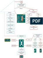 Mapa Conceptual ATOMO