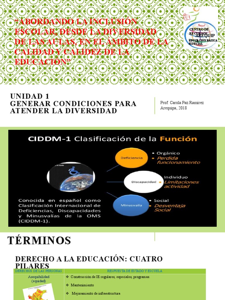 Unidad 1 Educacion Inclusiva | PDF | Plan de estudios | Aprendizaje