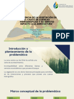 Influencia de La Vegetación en El Cauce de Cuencas Hidrográficas y Su Directo Impacto A La Agricultura