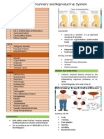 Alterations in Genitourinary and Reproductive System - 3rd UE