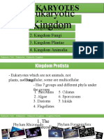 Eukaryotic Kingdom: Eukaryotes