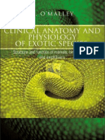 Clinical Anatomy and Physiology of Exotic Species - B. OMalley (Saunders 2005) BBS
