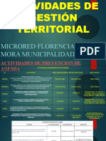 Exp Final - Actividades Gestion Territorial