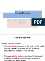 Anatomy U-3 Skeletal System