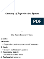 Anatomy of Reproductive System