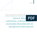 Tema 4. Mecanismos Sustantivos, Institucionales y Procesales de Protección en Perspectiva Internacional