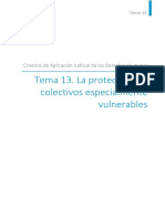 Tema 13. La Protección de Col, Ectivos Especialmente Vulnerables