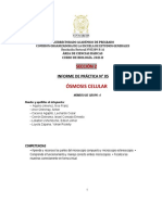 Tarea Práctica N 5. Informe