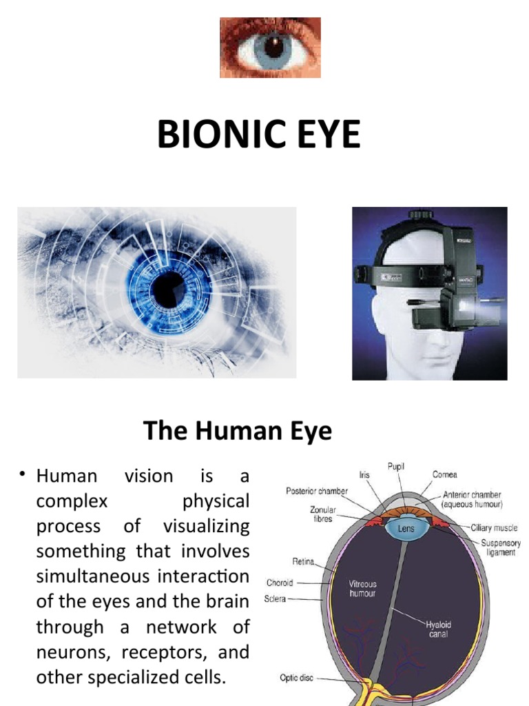Bionic Eye Structure and Function | PDF | Retina | Eye