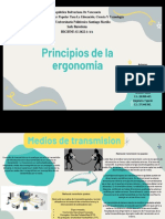 Principios de La Ergonomia2