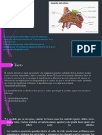 Cambios en El Adulto Mayor Parte 3